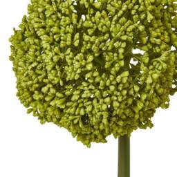 Lemon Pavilion Furniture and Decor Allium (Single Stem Flower) - Plastic - Height 75 cm - Green - thumbnail 2