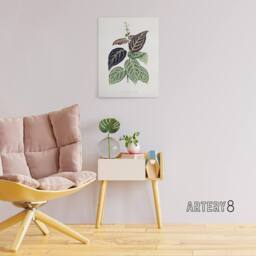 "Artery8 AF Lydon B Fawcett Bignonia Argyro Violacea Crossvine Canvas Art Print in White - Size: W12"" x H16""" - thumbnail 3