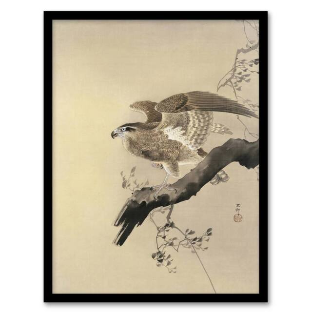 Artery8 Hawk Bird of Prey on Tree Branch Retro Japan Framed Wall Art Print Koson in Beige - Size: A4 - image 1