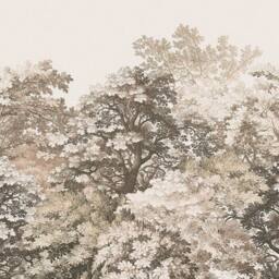 Superfresco Easy Forest Canopy Oatmeal Print To Order 3m x 2.8m Mural in Beige - thumbnail 2