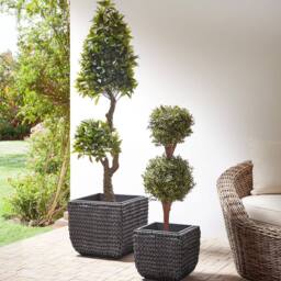Wyld and Coco Set 2 Black PE Rattan Plant Pots Plastic Inserts Indoor and Sheltered - thumbnail 1