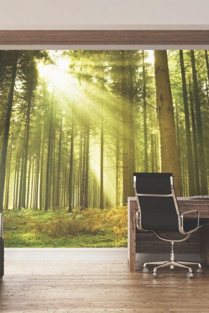 Origin Murals Spruce Forest Wall Mural in Emerald - Size: W300 cm x H240 cm - image 1