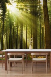 Origin Murals Spruce Forest Wall Mural in Emerald - Size: W300 cm x H240 cm - thumbnail 5