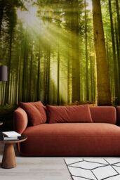 Origin Murals Spruce Forest Wall Mural in Emerald - Size: W300 cm x H240 cm - thumbnail 4