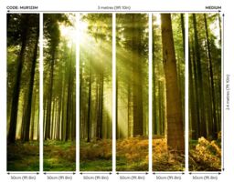 Origin Murals Spruce Forest Wall Mural in Emerald - Size: W300 cm x H240 cm - thumbnail 6
