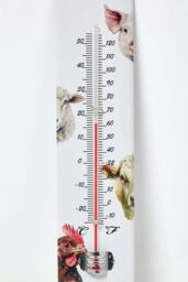Homescapes Outdoor Thermometer with Farmyard Animal Design in White - thumbnail 2