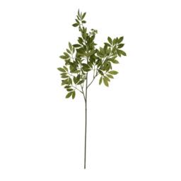 Lemon Pavilion Furniture and Decor Long Fennel Stem - Plastic - L26 x W26 x H76 cm - Green - thumbnail 4
