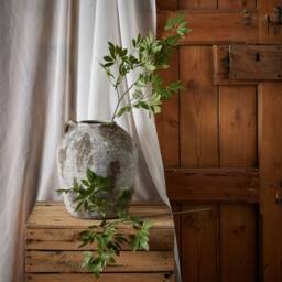 Lemon Pavilion Furniture and Decor Long Fennel Stem - Plastic - L26 x W26 x H76 cm - Green - thumbnail 3