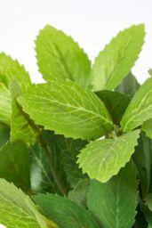 Homescapes Artificial Mint Plant in Decorative Pot in Terracotta - thumbnail 5