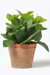 Homescapes Artificial Mint Plant in Decorative Pot in Terracotta - thumbnail 4