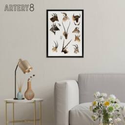 "Artery8 Bovidae Animals Vintage Illustration Lydekker Framed Canvas Wall Art in White - Size: W12"" x H16""" - thumbnail 3
