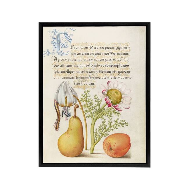 "Artery8 Caterpillar Flowers & Fruit Calligraphy Framed Canvas Wall Art Print - Size: W12"" x H16""" - image 1