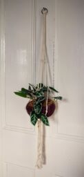 Leaf 85cm Hanging Artificial Potted Pothos Plant with Planter in Green - thumbnail 2