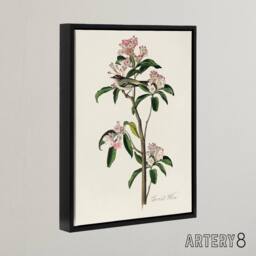 "Artery8 Cuviers Kinglet Bird & Mountain Laurel Audubon Framed Canvas Art in White - Size: W12"" x H16""" - thumbnail 2