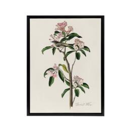 "Artery8 Cuviers Kinglet Bird & Mountain Laurel Audubon Framed Canvas Art in White - Size: W12"" x H16""" - thumbnail 1