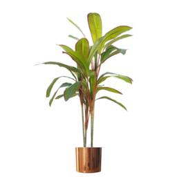 Leaf 100cm Artificial Realistic Dracaena Tropical Plant with Copper Metal Plater - thumbnail 1
