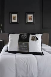 The Lyndon Company Luxurious Goose Feather & Down Medium Support 100% Cotton Cambric Casing Pillow - Deyongs 1846 in White