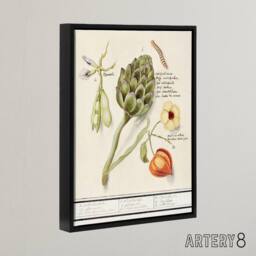 "Artery8 Artichoke Broad beans & Groundcherry de Boodt Framed Canvas Wall Art in White - Size: W12"" x H16""" - thumbnail 2