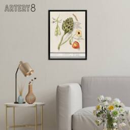 "Artery8 Artichoke Broad beans & Groundcherry de Boodt Framed Canvas Wall Art in White - Size: W12"" x H16""" - thumbnail 3