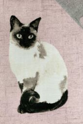 Fusion 'Cats' Luscious Hand Drawn Cat Print Duvet Cover Set in Rose - Size: Double - thumbnail 2