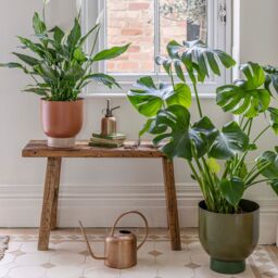 Ivyline Indoor Austin Dual Green Metal Planters Set of 2 *extra large* - thumbnail 1