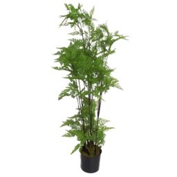 Leaf 150cm Artificial Natural Moss Base Fern Foliage Plant in Green