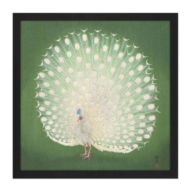 "Artery8 Wall Art Print Ohara Koson Peacock Japan Painting Square Framed Picture 16X16 Inch in Black - Size: W16"" x H16""" - image 1