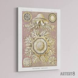 "Artery8 Jellyfish Discomedusae Vintage Haeckel Canvas Wall Art in White - Size: W18"" x H24""" - thumbnail 2