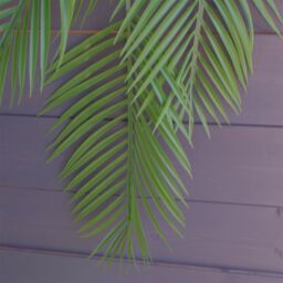 Leaf Pack of 12 x 120cm Artificial Hanging Palm Plant in Green - Size: 12 x 120 cm - thumbnail 3