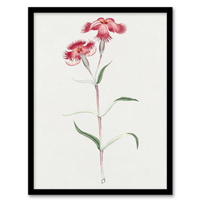 Artery8 Nadeshiko Flower Vintage Japan Framed Wall Art Print Japanese in Blue - Size: A4 - image 1