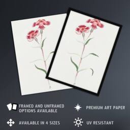 Artery8 Nadeshiko Flower Vintage Japan Framed Wall Art Print Japanese in Blue - Size: A4 - thumbnail 2