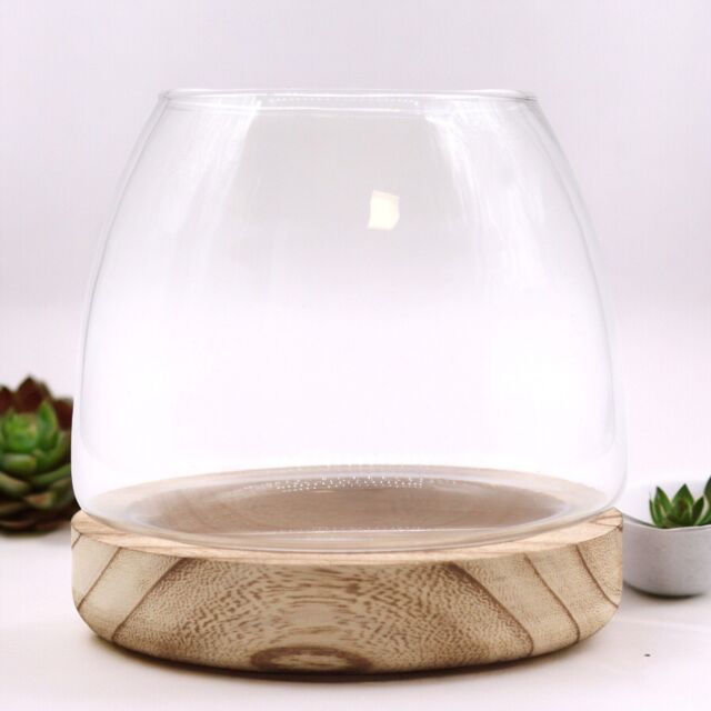 KDMD Medium Terarium on Natural Tung Wood in Brown - image 1