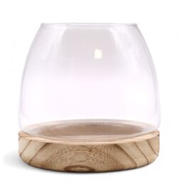 KDMD Medium Terarium on Natural Tung Wood in Brown - thumbnail 2