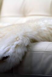 Nordvek Genuine Natural Sheepskin Rug Single - Small - Size: 90 cm x 60 cm - thumbnail 4