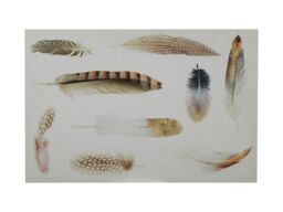 Orsina Feather Wall Plaque, Elegant Wooden Sign With Delicate Feather Illustration, Natural Tones Add Soft, Serene in White