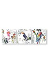 Art for the Home Set of 3 Tropical Amazon Birds Printed Canvas in White - thumbnail 2
