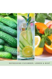 Yankee Candle Women's Signature Large Jar Cucumber Mint Cooler in Green - thumbnail 3