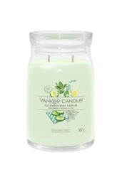 Yankee Candle Women's Signature Large Jar Cucumber Mint Cooler in Green