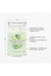 Yankee Candle Women's Signature Large Jar Cucumber Mint Cooler in Green - thumbnail 4