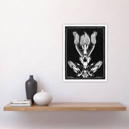 "Artery8 April Flower Vintage Black White Vintage Wall Art Print Graag - Size: W12"" x H16""" - thumbnail 4