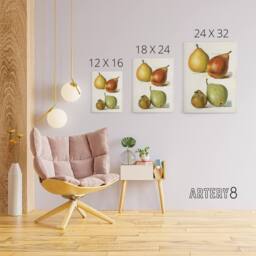 "Artery8 Four Pear Varieties Vintage Illustration Wright Canvas Wall Art Print in White - Size: W12"" x H16""" - thumbnail 4