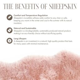 Infinity Leather Luxury Genuine Sheepskin 40x40cm Real Wool Single Sided Cushion in Pink - Size: 40 cm x 40 cm - thumbnail 5