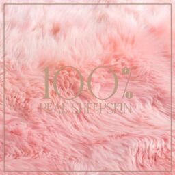 Infinity Leather Luxury Genuine Sheepskin 40x40cm Real Wool Single Sided Cushion in Pink - Size: 40 cm x 40 cm - thumbnail 3