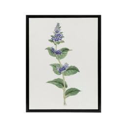"Artery8 Gentian Flower Framed Canvas Wall Art Print Vintage Japanese Botanical in Pink - Size: W24"" x H32""" - thumbnail 1