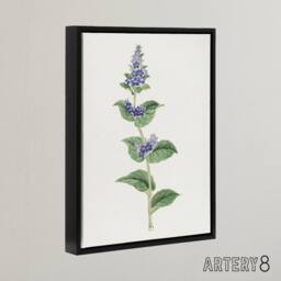 "Artery8 Gentian Flower Framed Canvas Wall Art Print Vintage Japanese Botanical in Pink - Size: W24"" x H32""" - thumbnail 2