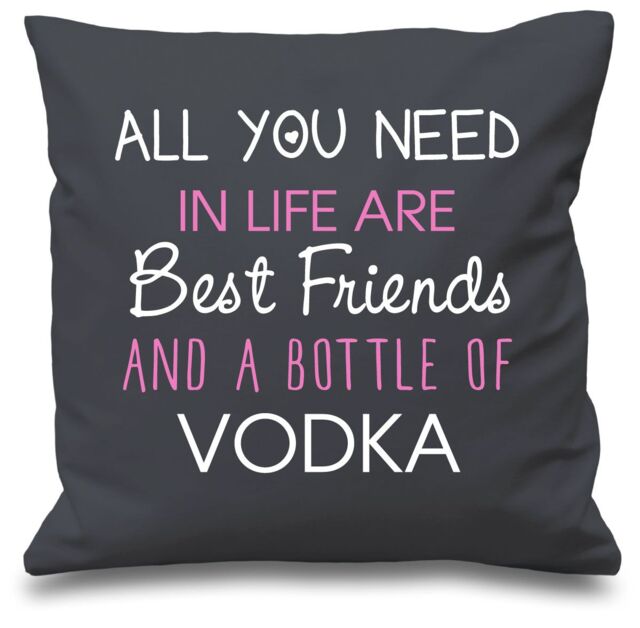 "60 SECOND MAKEOVER Cushion Cover All You Need In Life Are Best Friends & A Bottle Of Vodka 16"" x 16"" in Grey - Size: 40 cm x 40 cm"