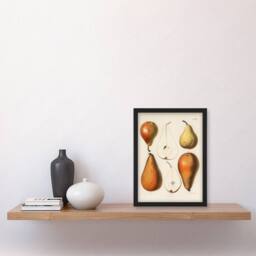 Artery8 Samuel Berghuis Framed Wall Art Print Fresh Pears Halved Fruit in White - Size: A4 - thumbnail 2