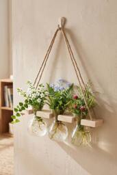 Living and Home Wall Hanging Plant Propagation Station with 3 Vases & Wooden Frame in Natural - thumbnail 1