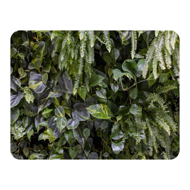 Benjamin Tate Design urban jungle, modern interior decoration Designer Blanket in Natural - Size: 120 cm x 150 cm - image 1