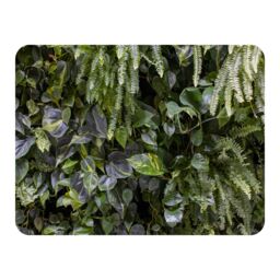 Benjamin Tate Design urban jungle, modern interior decoration Designer Blanket in Natural - Size: 120 cm x 150 cm - thumbnail 1